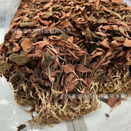 金線蓮500藥品批發指南 選購、優勢與市場前景